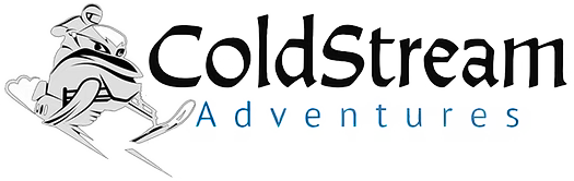 csa-stage.corexp.com